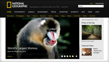 闲鱼卡密便宜的免费ddos攻击网页端